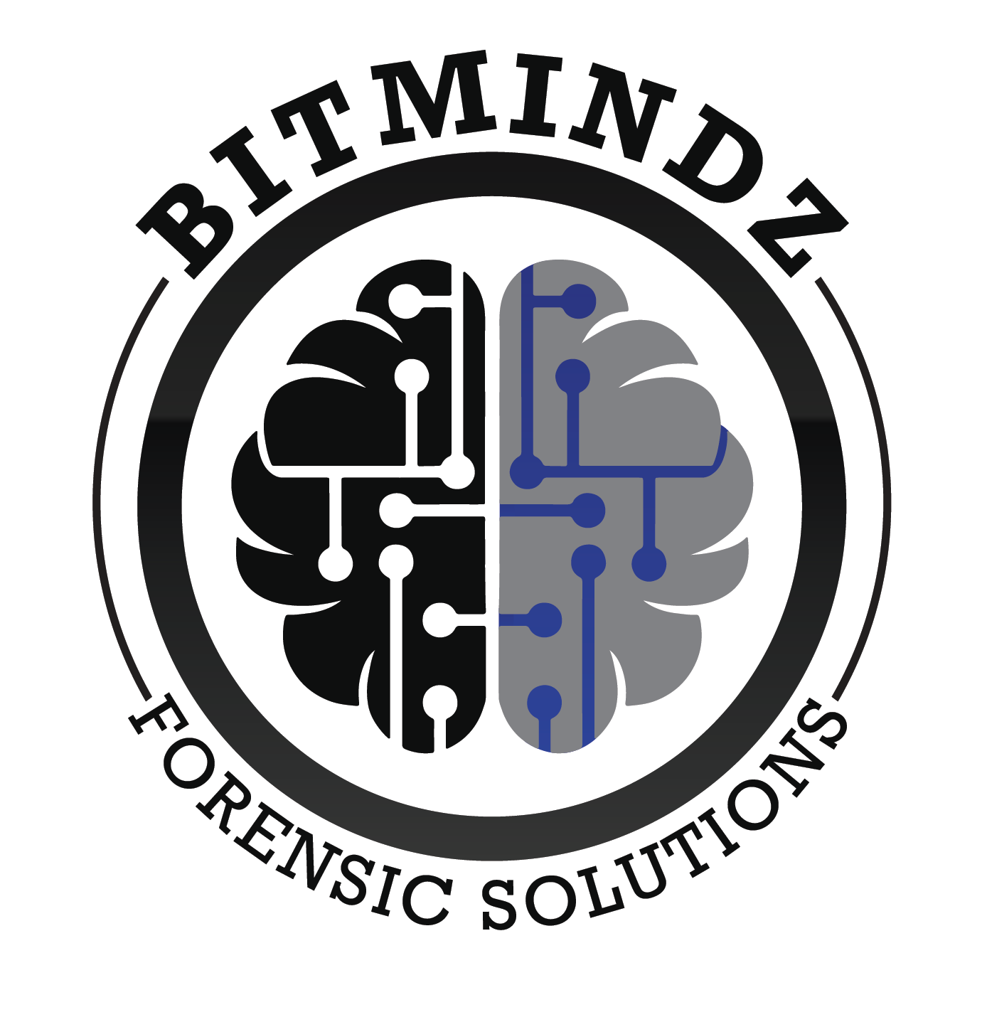 Bitmindz Forensic solutions logo